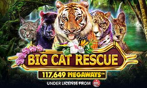Imagem do jogo Big Cat Rescue Megaways da xjwinbet